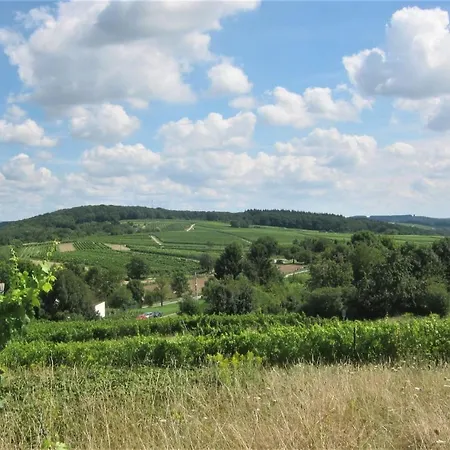 Mergl's * Bad Schonborn